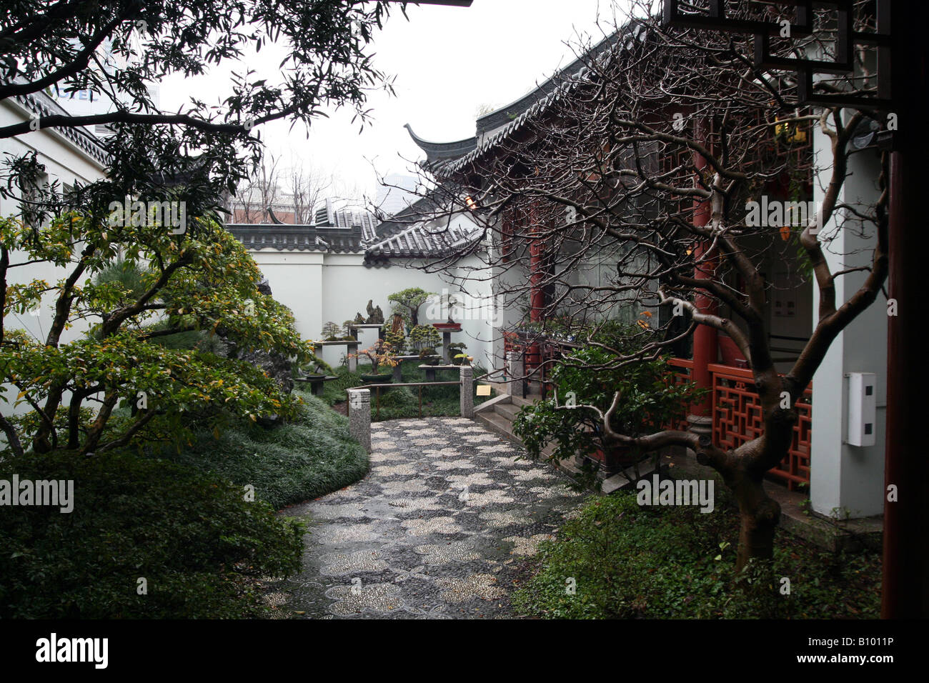 Chinesischer Garten der Freundschaft in Sydney [Hafengasse, Darling Harbour, Sydney, NSW, Australien].                              . Stockfoto