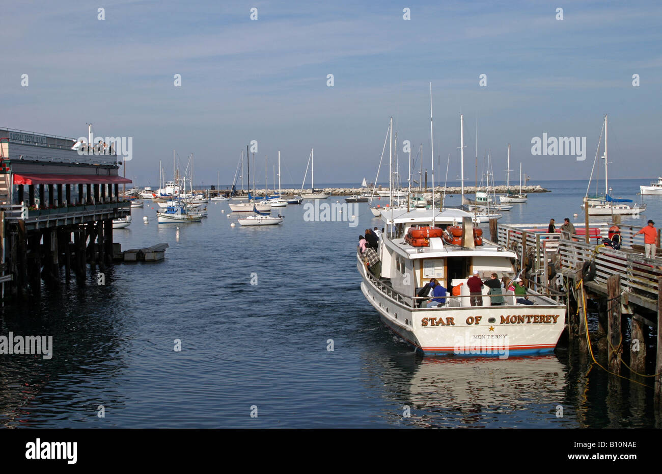 Star der Monterey Whale Watching Boot Stockfoto