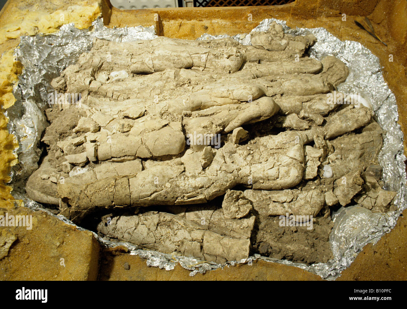 Verdichtete Steinzeit Statuen wie in Jordanien Amman 6000 v. Chr. Stockfoto