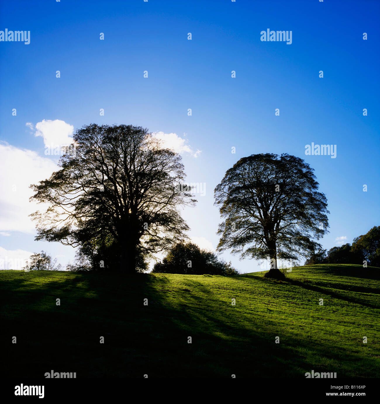 Co-Armagh, Navan Fort, Irland Stockfoto