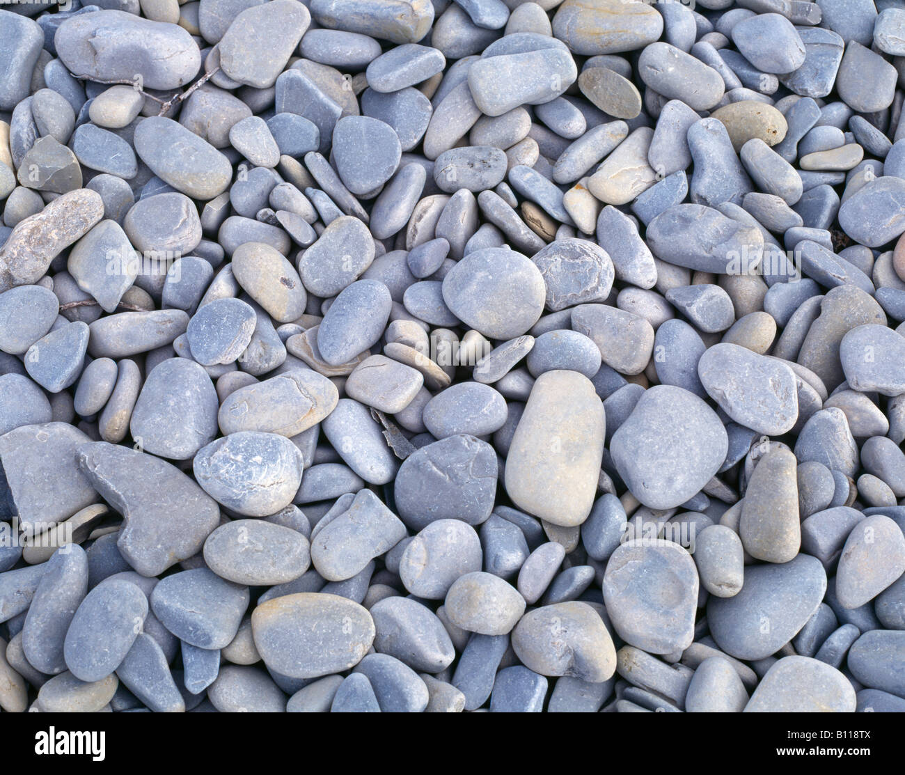 Kiesel auf Sheringham Beach, Norfolk, england Stockfoto