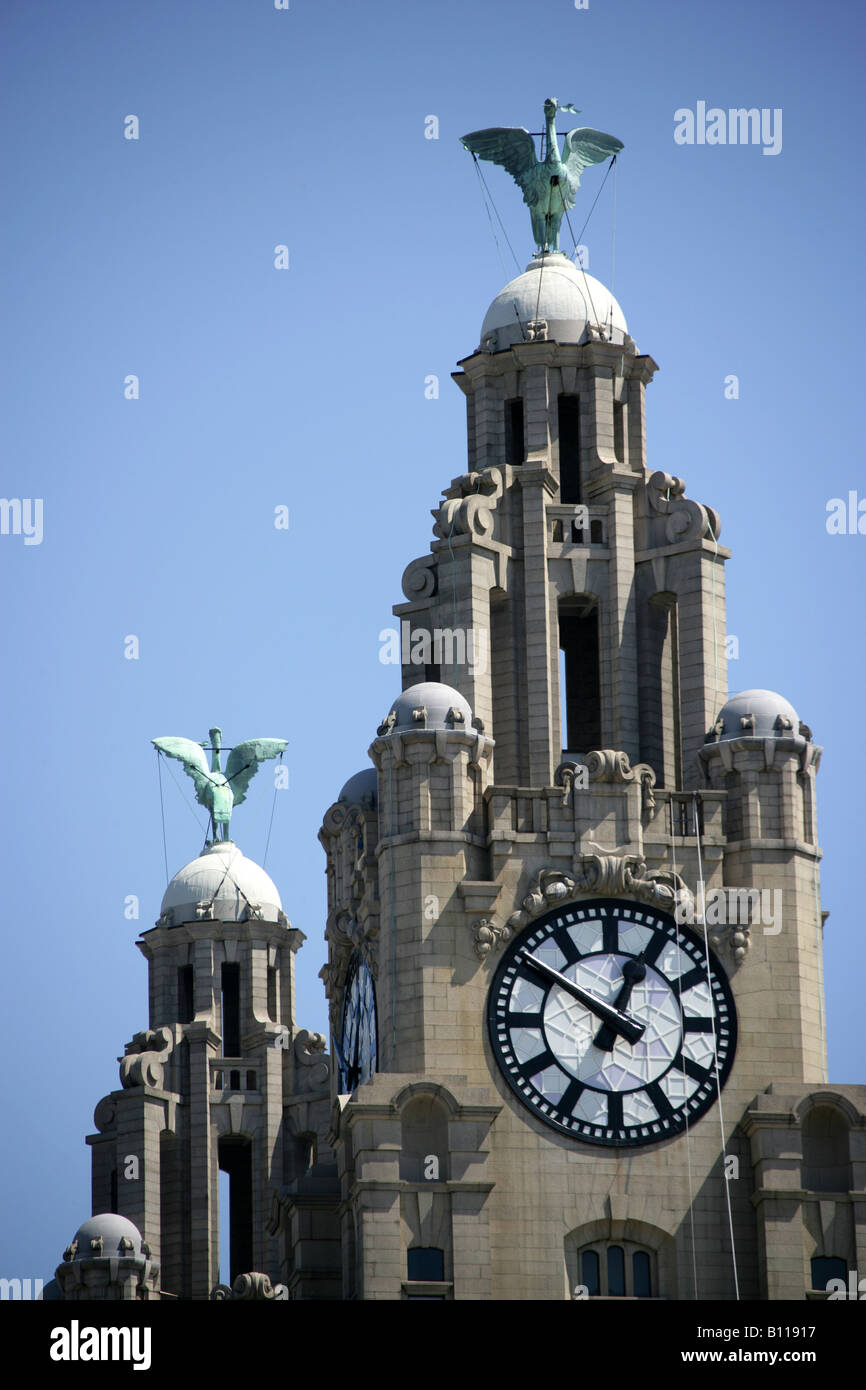 Stadt von Liverpool, England. Nahaufnahme Foto von der Liver Building Clock Tower und Carl Bernard Bartels Liver Birds. Stockfoto