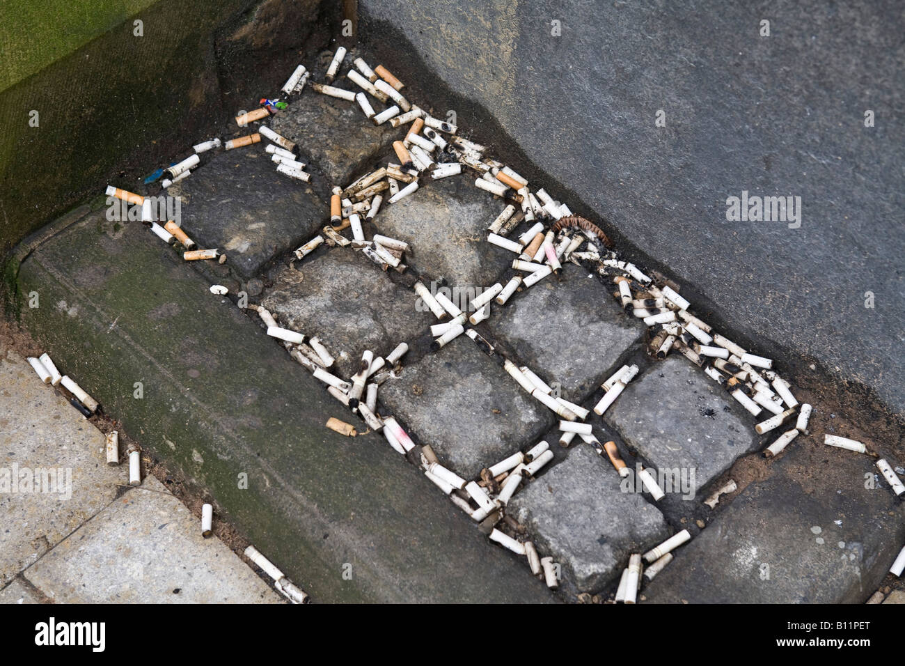 Zigaretten-enden auf einer Kopfsteinpflaster verworfen. Stockfoto