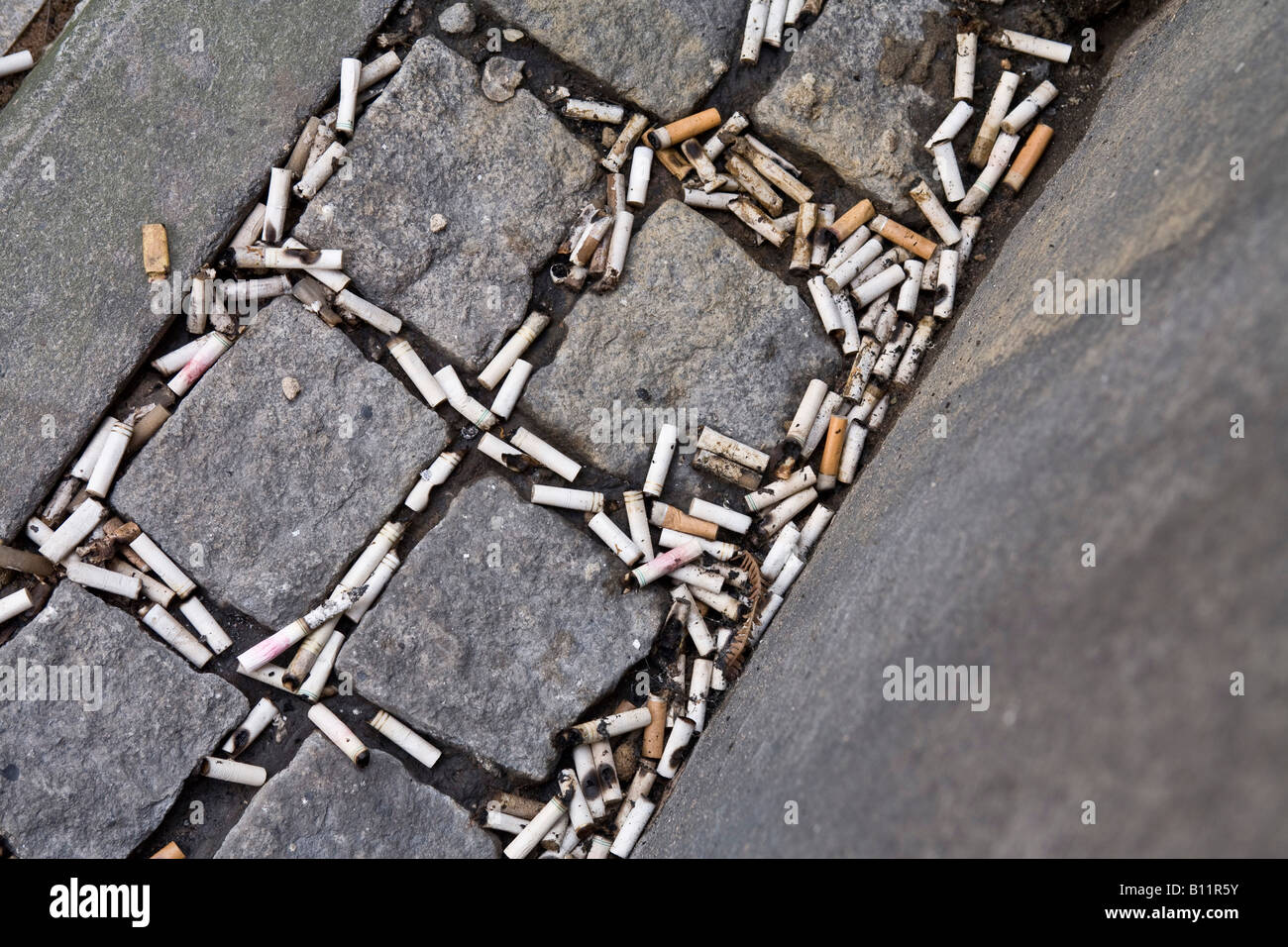 Zigaretten-enden auf einer Kopfsteinpflaster verworfen. Stockfoto