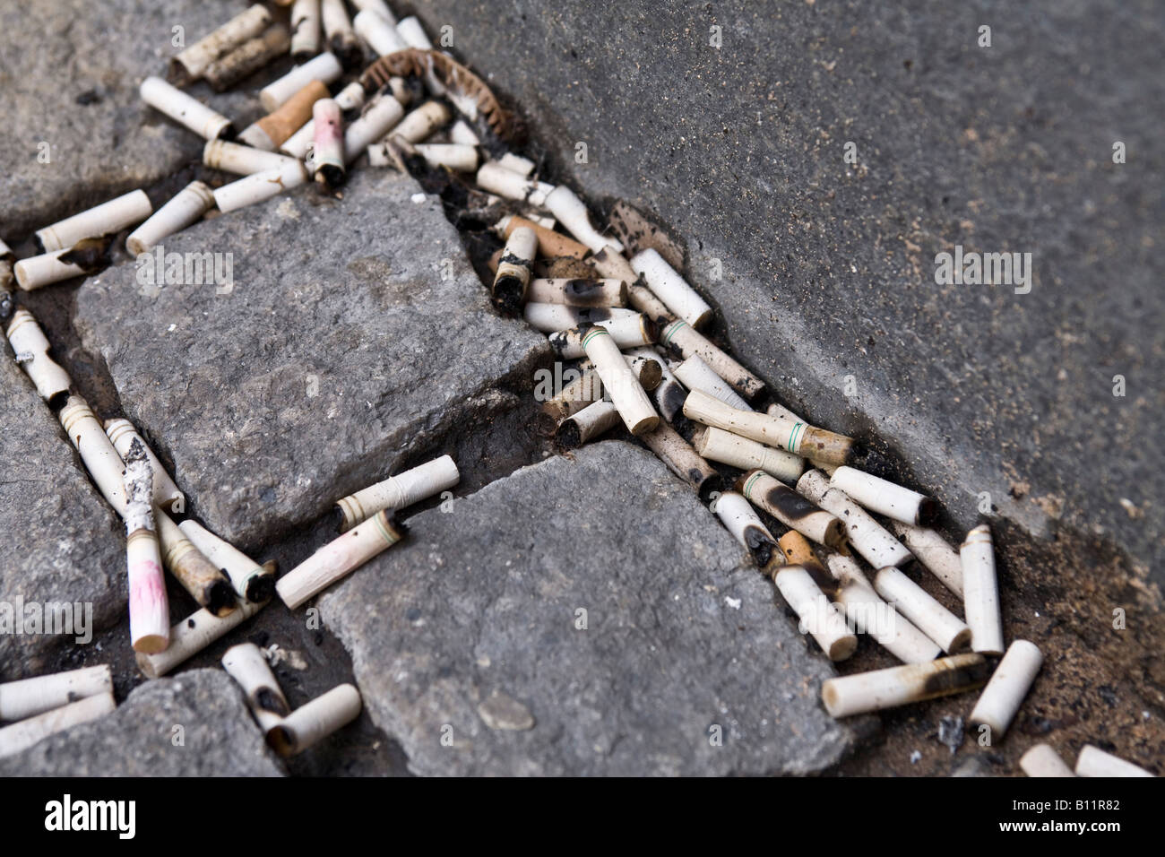 Zigaretten-enden auf einer Kopfsteinpflaster verworfen. Stockfoto