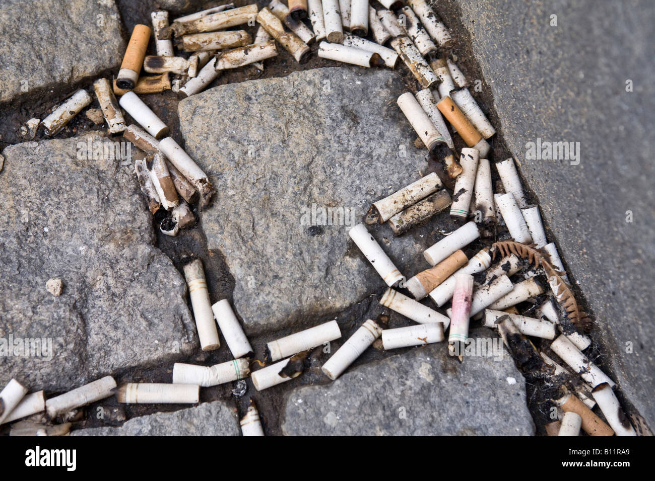 Zigaretten-enden auf einer Kopfsteinpflaster verworfen. Stockfoto