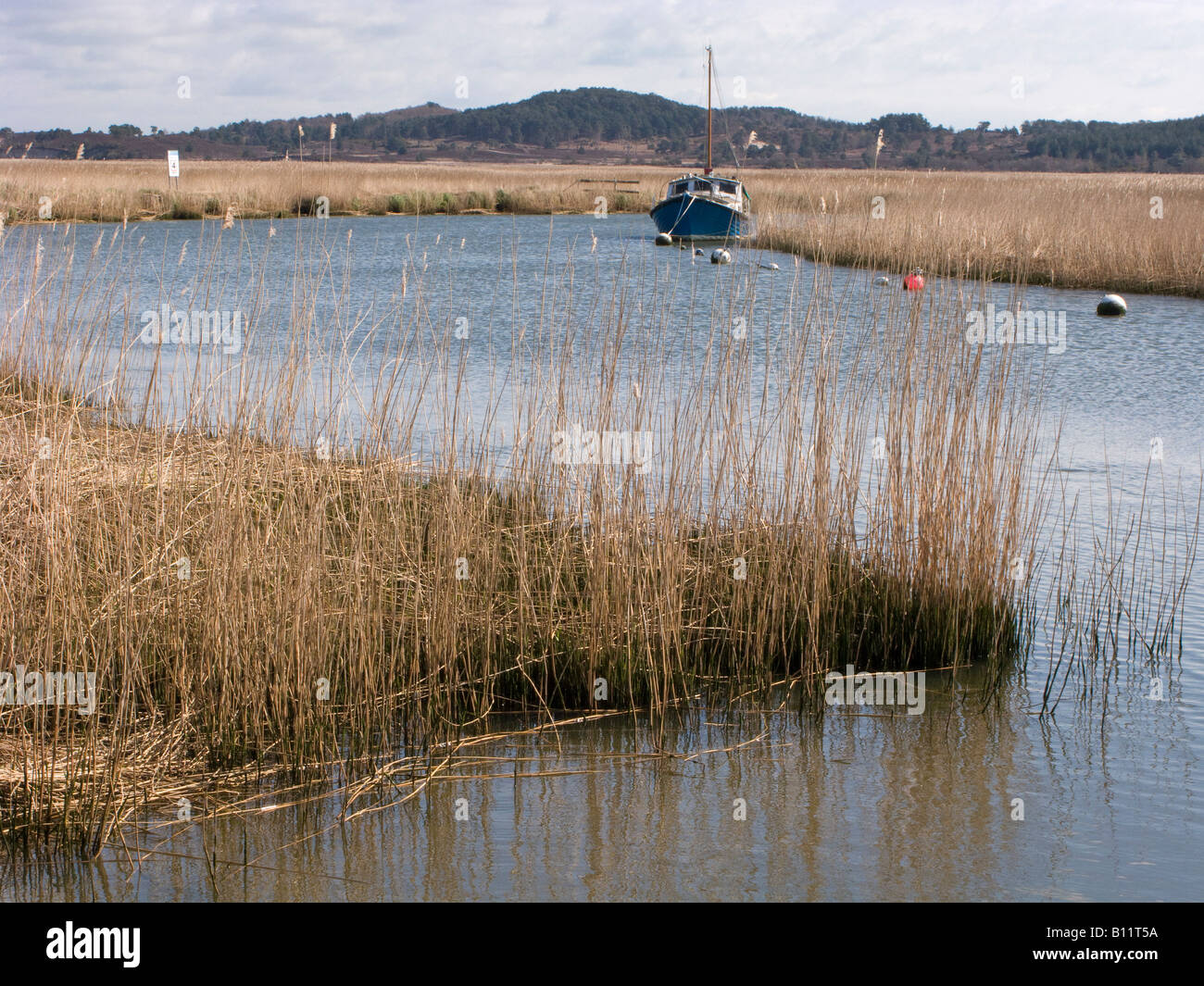 Fluß Frome, in der Nähe von Swineham Punkt, Wareham, Dorset, Großbritannien Stockfoto