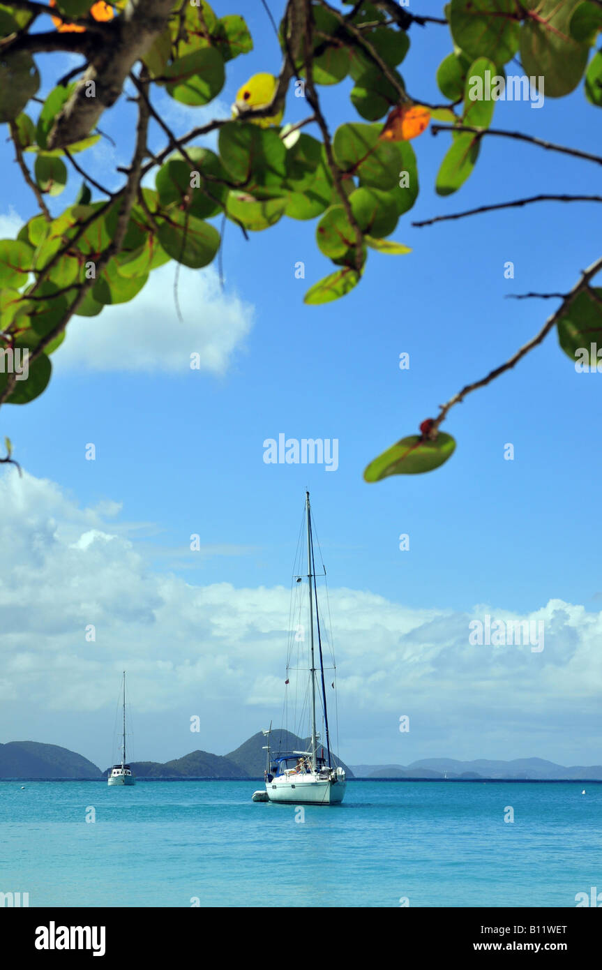 Cane garden bay beach Fotos und Bildmaterial in hoher Auflösung Alamy