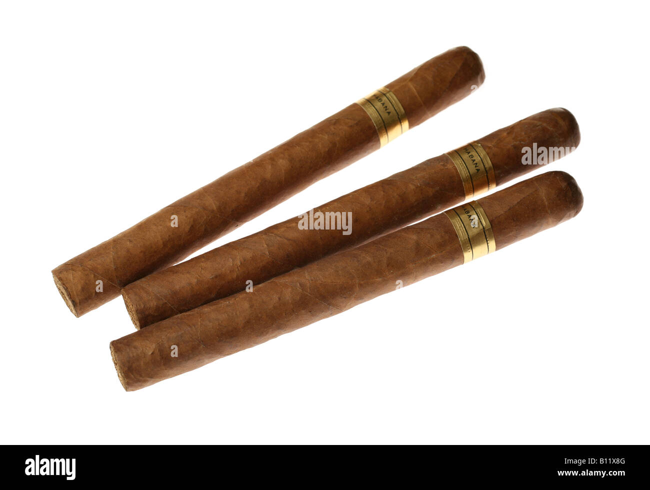 Havanna-Zigarren set isoliert auf weiss Stockfoto