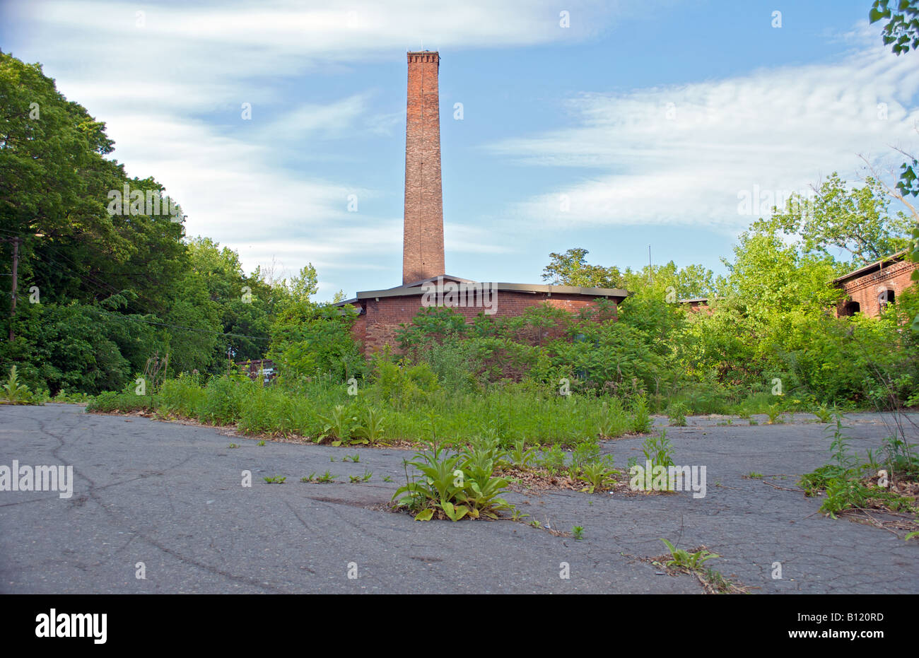 verlassene Fabrik, die durch die Natur und Unkraut verbraucht wird Stockfoto