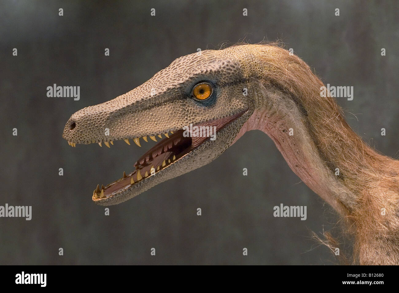 Dinosaurio Stockfoto