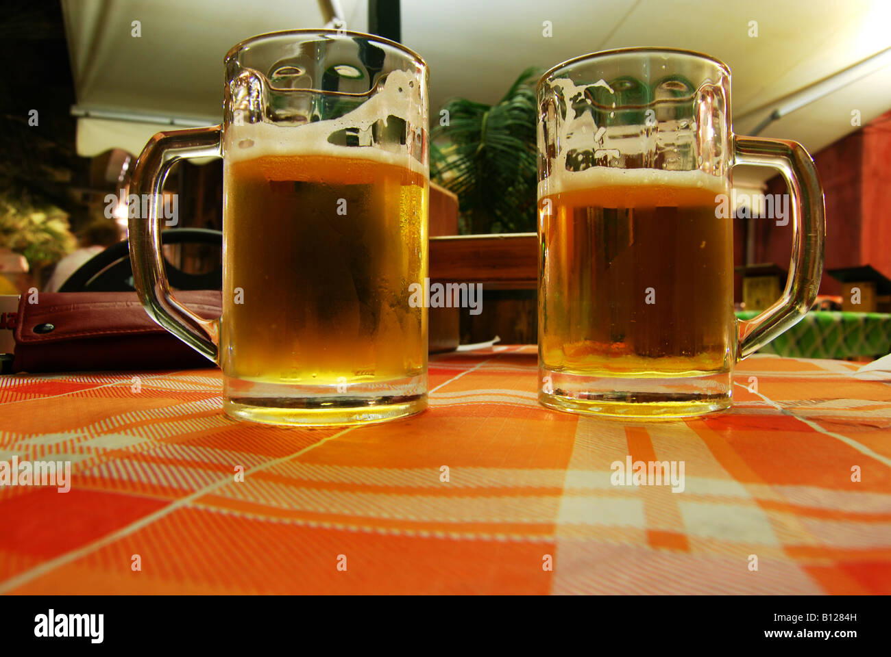 Zwei Gläser gefüllt mit Lagerbier Stockfoto
