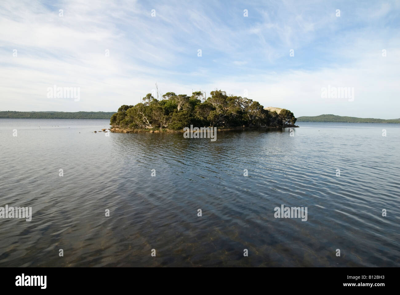 Eine kleine, isolierte Baum bewachsene Insel in Wilson Inlet, genannt Honeymoon Island, Dänemark, Western Australia Stockfoto