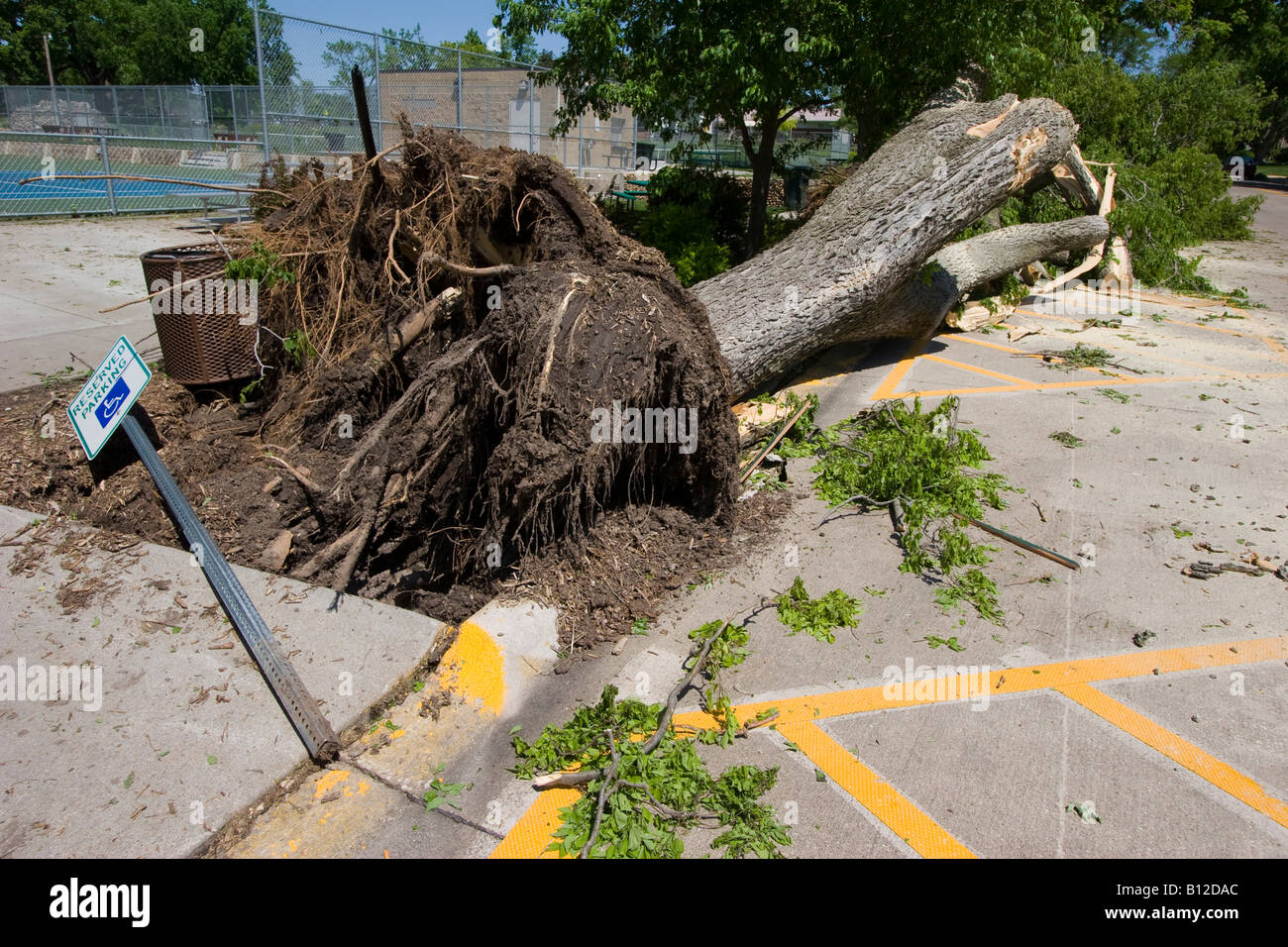 Ein abgestürzten Baum in der Nähe von Harmon Parken in Kearney Nebraksa Mai 30, 2008 29. Mai 2008 Kearney durch eine EF-2-Tornado getroffen wurde Stockfoto