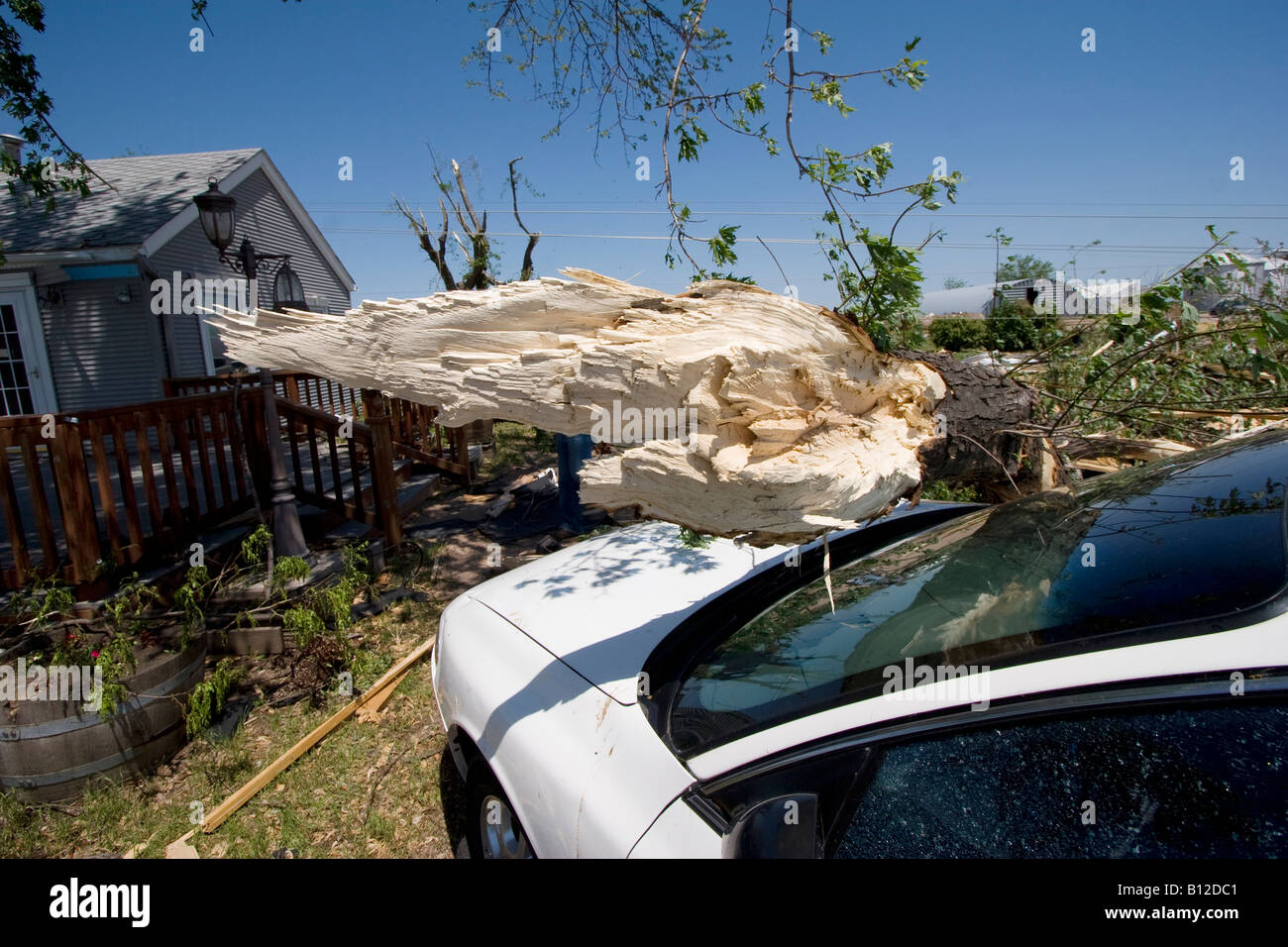 Ein Baum auf ein Auto Bill Foster Zuhause in 2165 East 39th Street in Kearney, Nebraska 30. Mai 2008 gefallen Stockfoto