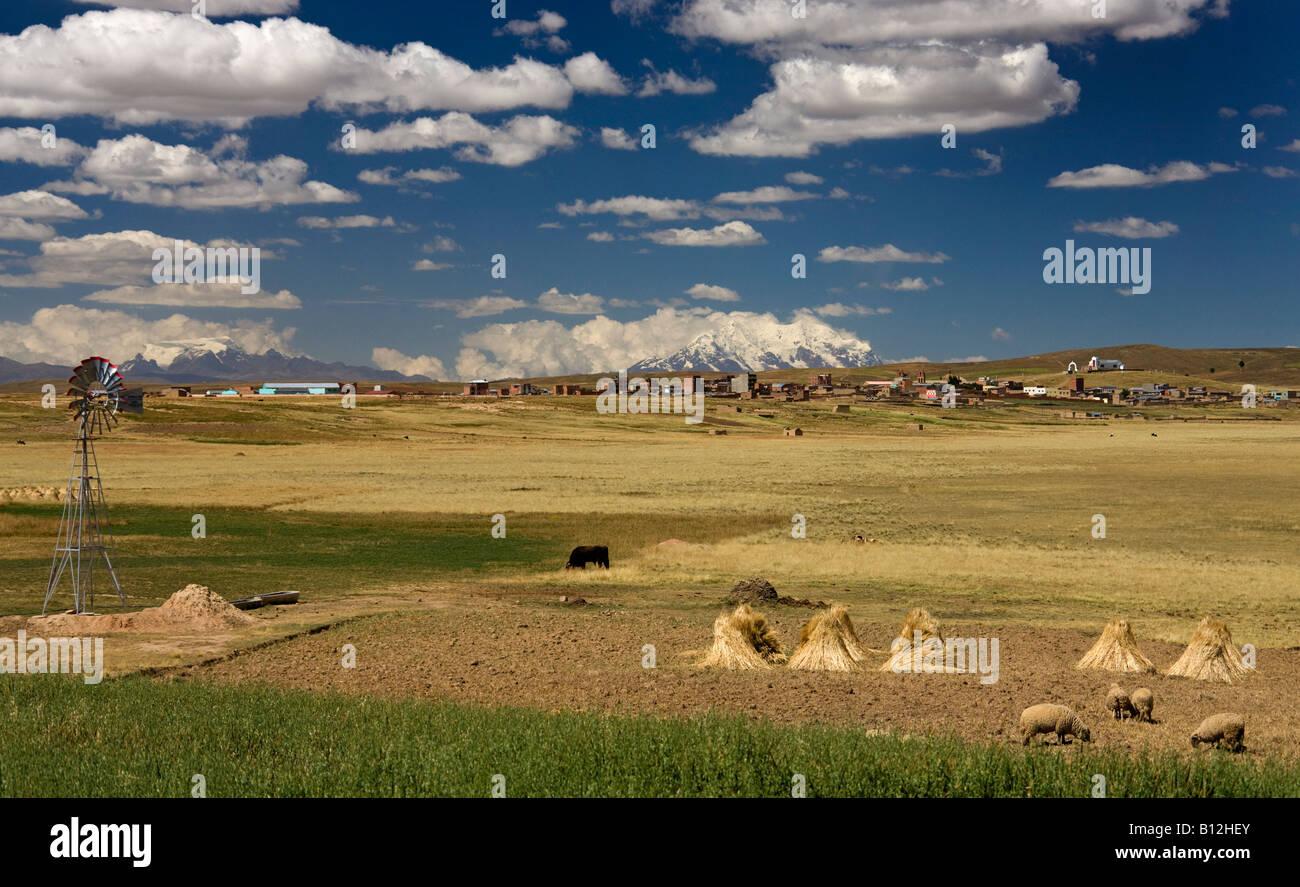 Ackerland und Dorf auf 3800m auf dem Altiplano in der Nähe von La Paz in Bolivien.  Illimani Berg (6100m) ist im Hintergrund Stockfoto