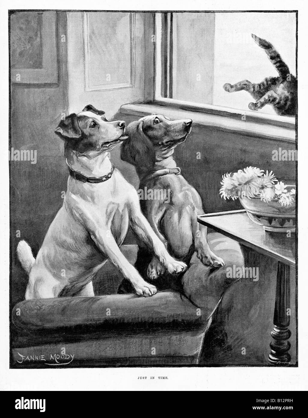 Nur In Zeit viktorianischen Abbildung der Katze die Hunde durch einen Sprung aus dem Fenster zu entkommen Stockfoto