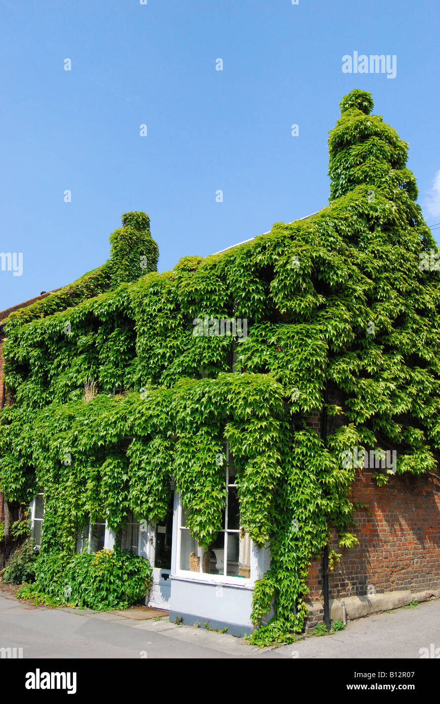 Haus bedeckt mit Efeu, Wycombe Ende, Old Beaconsfield, Buckinghamshire, England, Vereinigtes Königreich Stockfoto