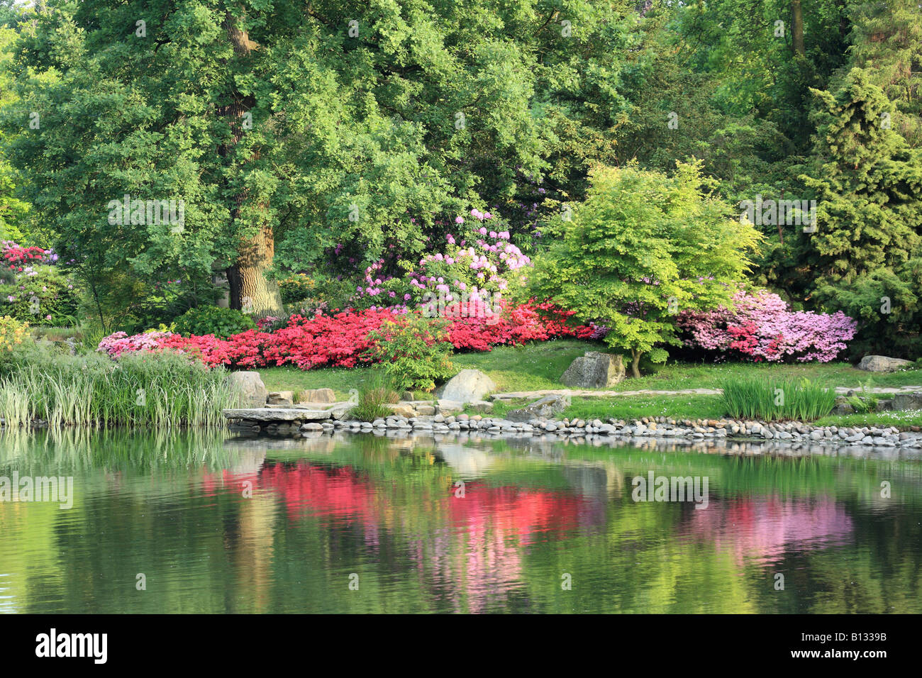 Japanischer Garten im Frühjahr Stockfoto