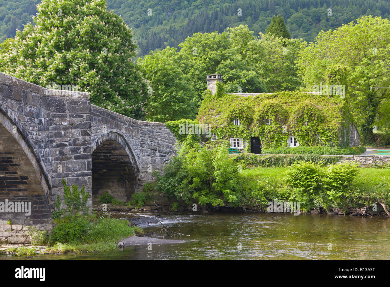 Efeu bedeckt, Hütte und Inigo Jones Bridge, Romanum, Conwy, Nordwales Stockfoto