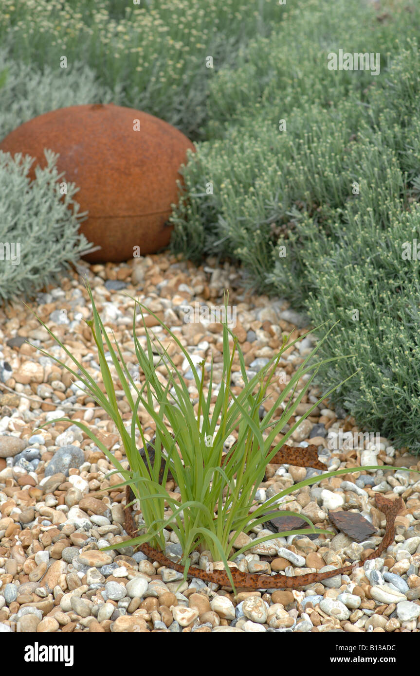 Derek Jarman-Garten im Juni, Dungeness, Kent, England Stockfoto