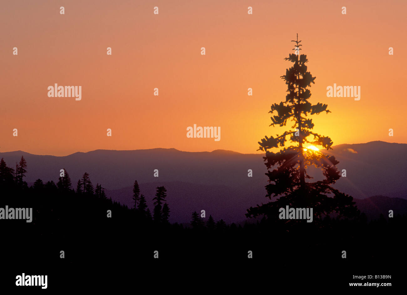 Sonnenuntergang über Siskiyou Berge von Cliff Naturlehrpfad Suche Oregon Caves National Monument Stockfoto