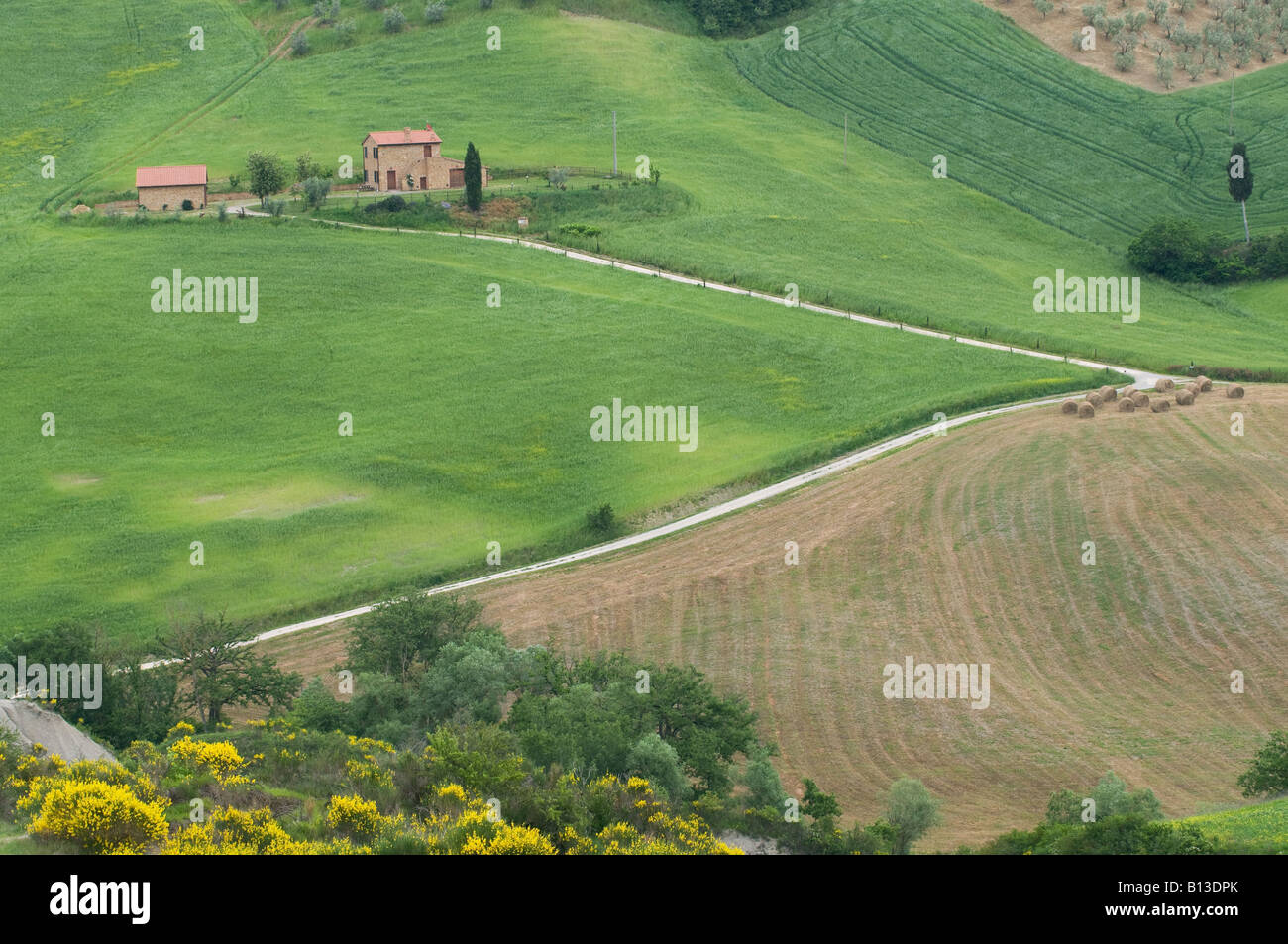 grüne Casale Siena Toskana Italien Pienza Stockfoto