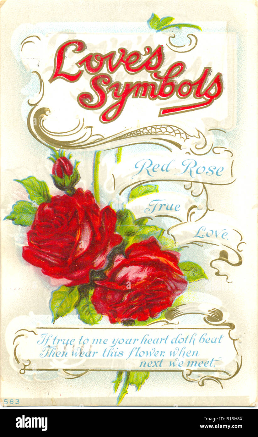 Chromolithographed und geprägte Ansichtskarte in Serie Liebe Symbole - Red Rose nach der wahren Liebe um 1910 Stockfoto