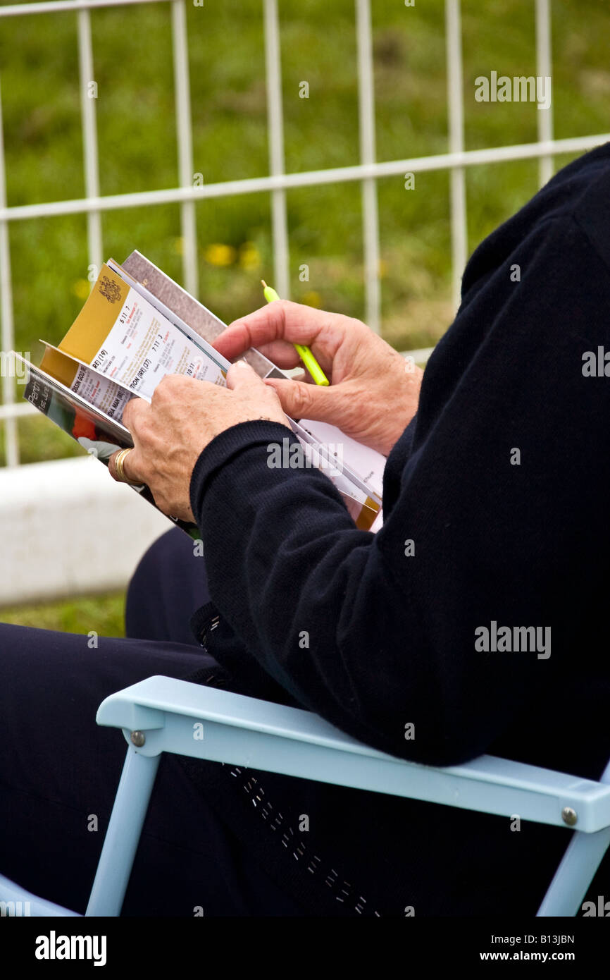 Nahaufnahme eines Zuschauers sitzen Blick durch ein Programmheft, das Platzieren einer Wette bei Perth Racecourse Schottland UK Stockfoto