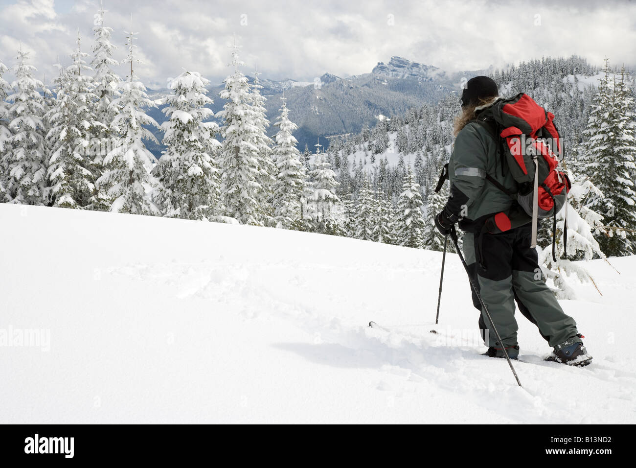 Überqueren Sie Land Skifahrer auf den Mount Tahoma Trails in der Nähe von Mount Rainier mit dem Sägezahn-Grat im Hintergrund. Stockfoto