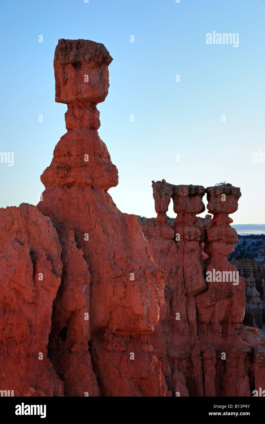 Bryce Canyon National Park Thor's Hammer und andere Hoodoos bei Sonnenaufgang Stockfoto