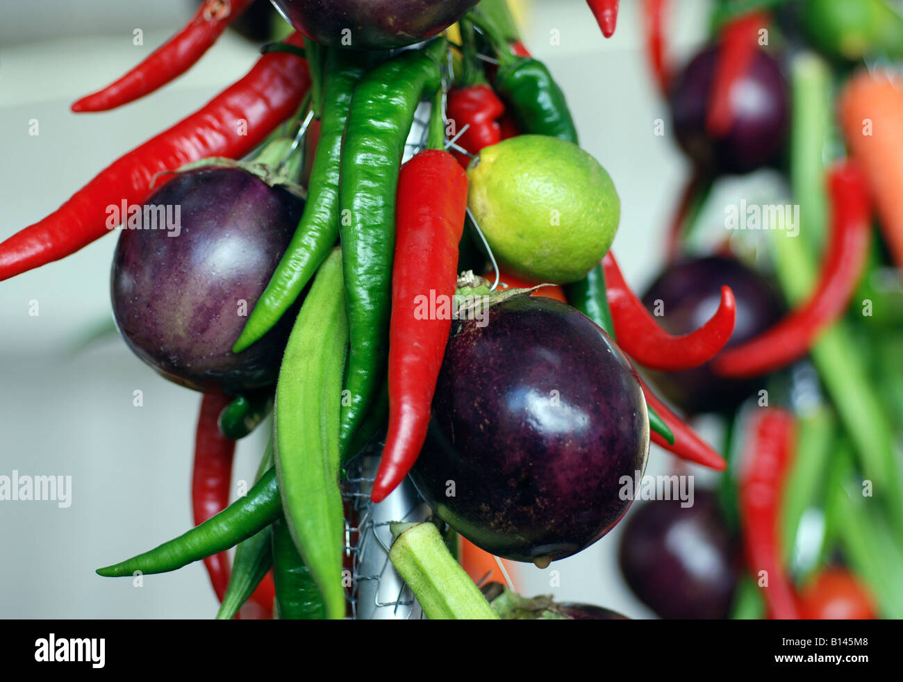 Sortiment von Chilis und Auberginen Stockfoto