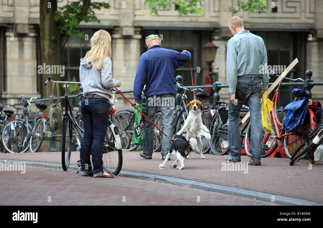 Hundekämpfe ist auf einer Brücke in Amsterdam. Stockfoto