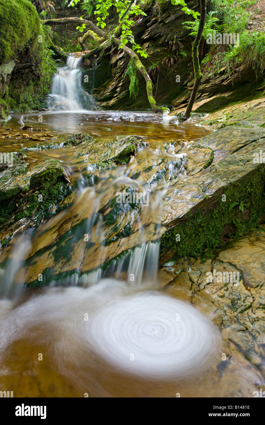 Whirlpool und Wasserfälle in einem Exmoor Stream Exmoor Nationalpark Somerset England Stockfoto