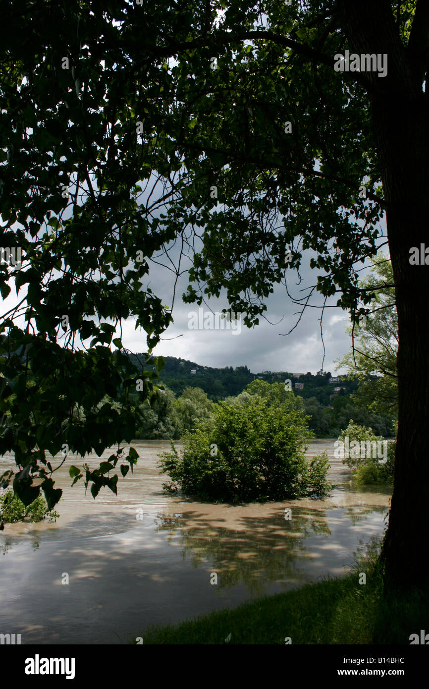 28. Mai 2008. Fluss Po während der Sintflut. Parco Vallere, Moncalieri, Turin, Piemont, Italien Stockfoto