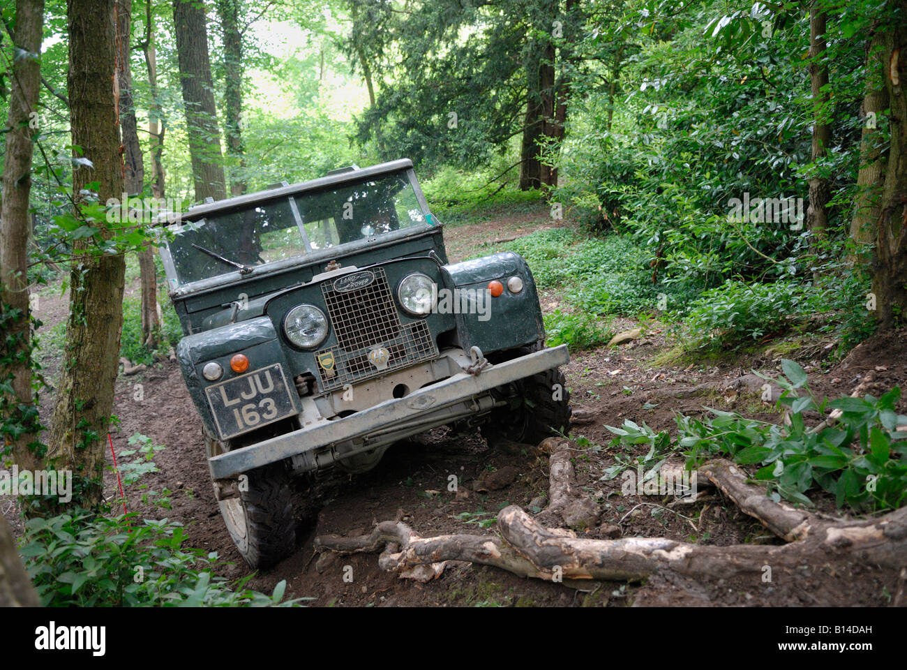 Land Rover Serie 1 86 Zoll im Wettbewerb bei der ALRC nationalen 2008 RTV-Verhandlung. Stockfoto