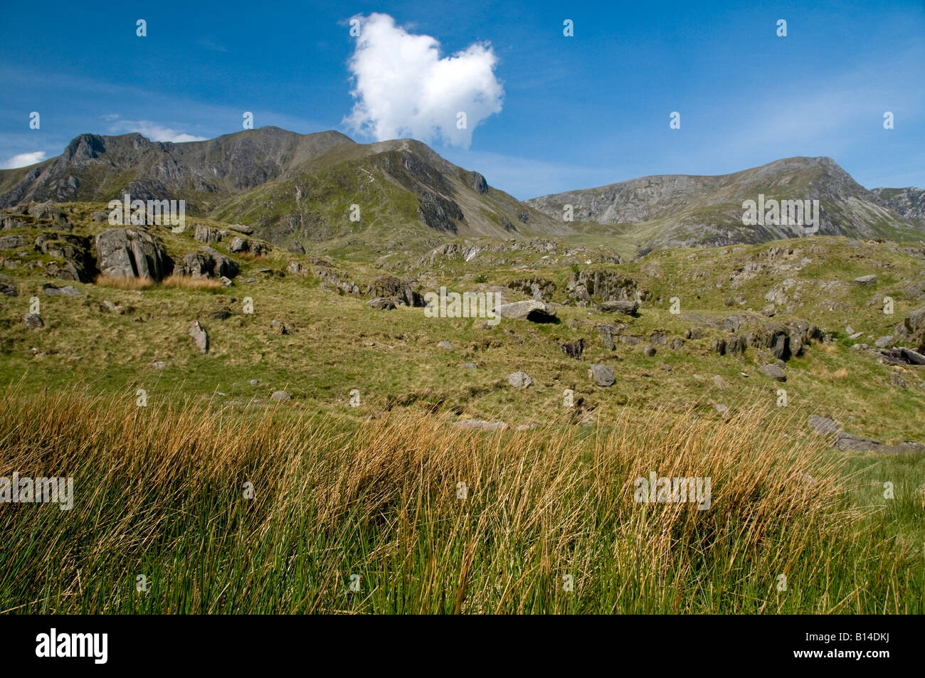 Y-Garn. Snowdonia-Nationalpark / Parc Cenedlaethol Eryri Stockfoto