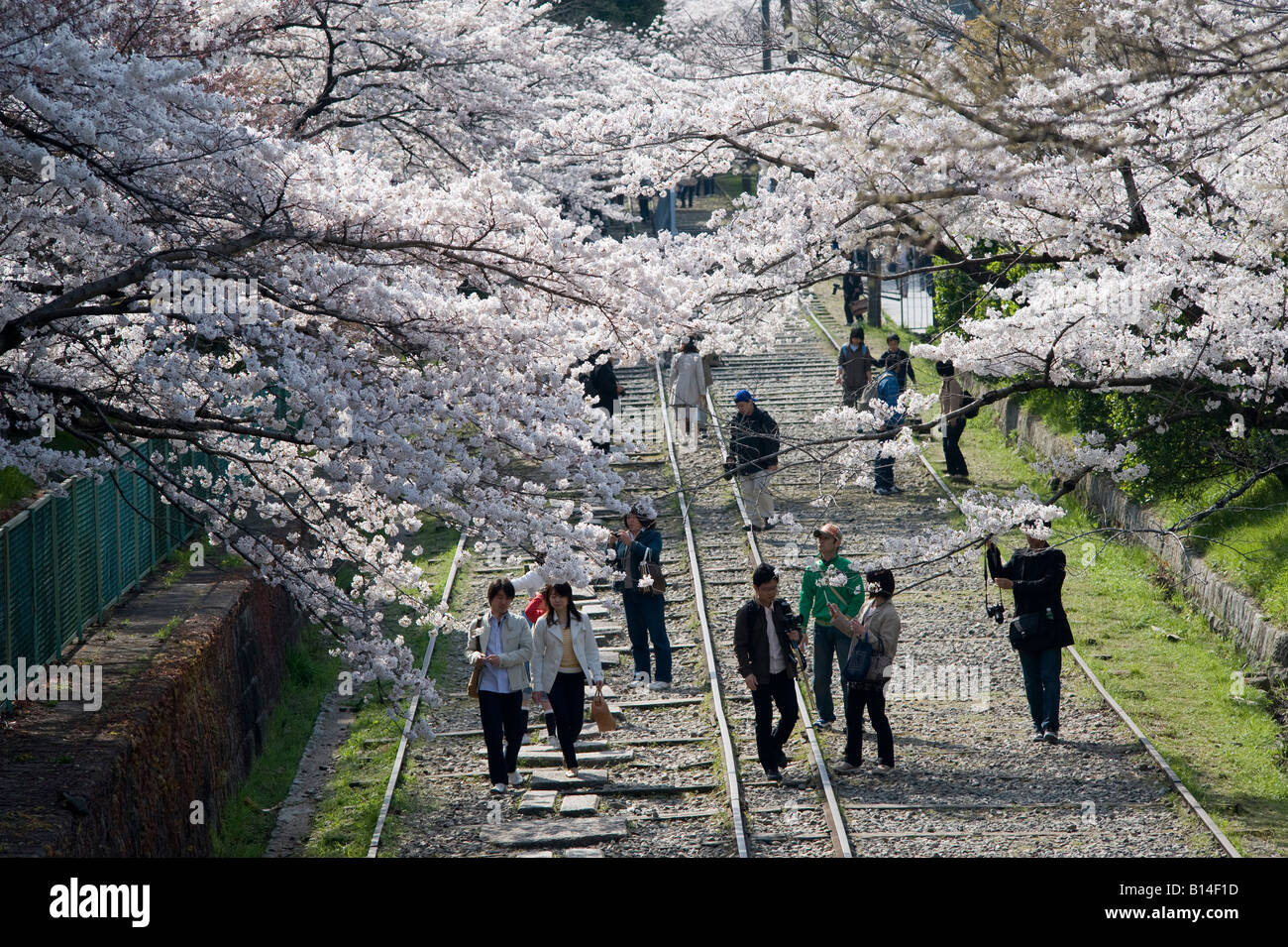 Kyoto, Japan. Menschen zu Fuß entlang der Biwako Neigung (eine alte Eisenbahnstrecke für den Transport der Boote) die Kirschblüte im Frühling zu bewundern. Stockfoto