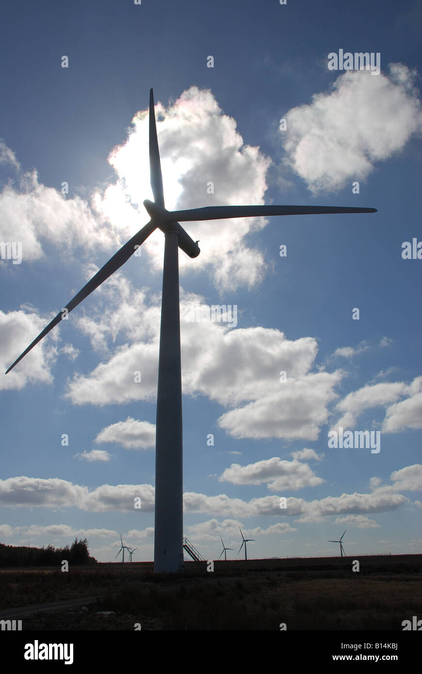 Windkraftanlage bei Causewaymire Windfarm in Caithness Highlands Schottland Stockfoto