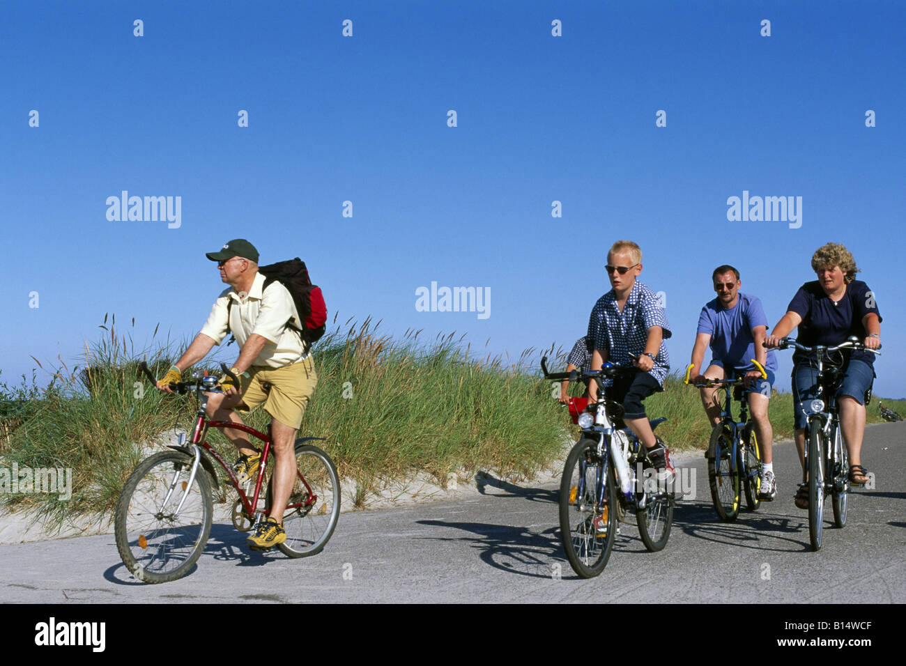 Mountainbike Gruppe Schleswig Holstein-Deutschland Stockfoto