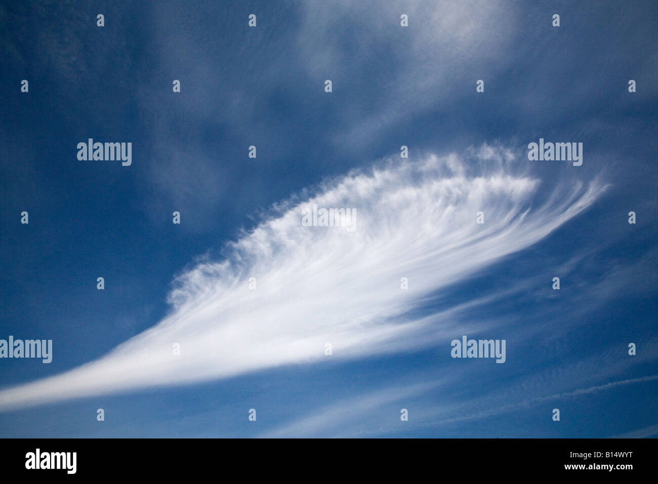 Feder geformte weiße Wolke am blauen Himmel Stockfoto