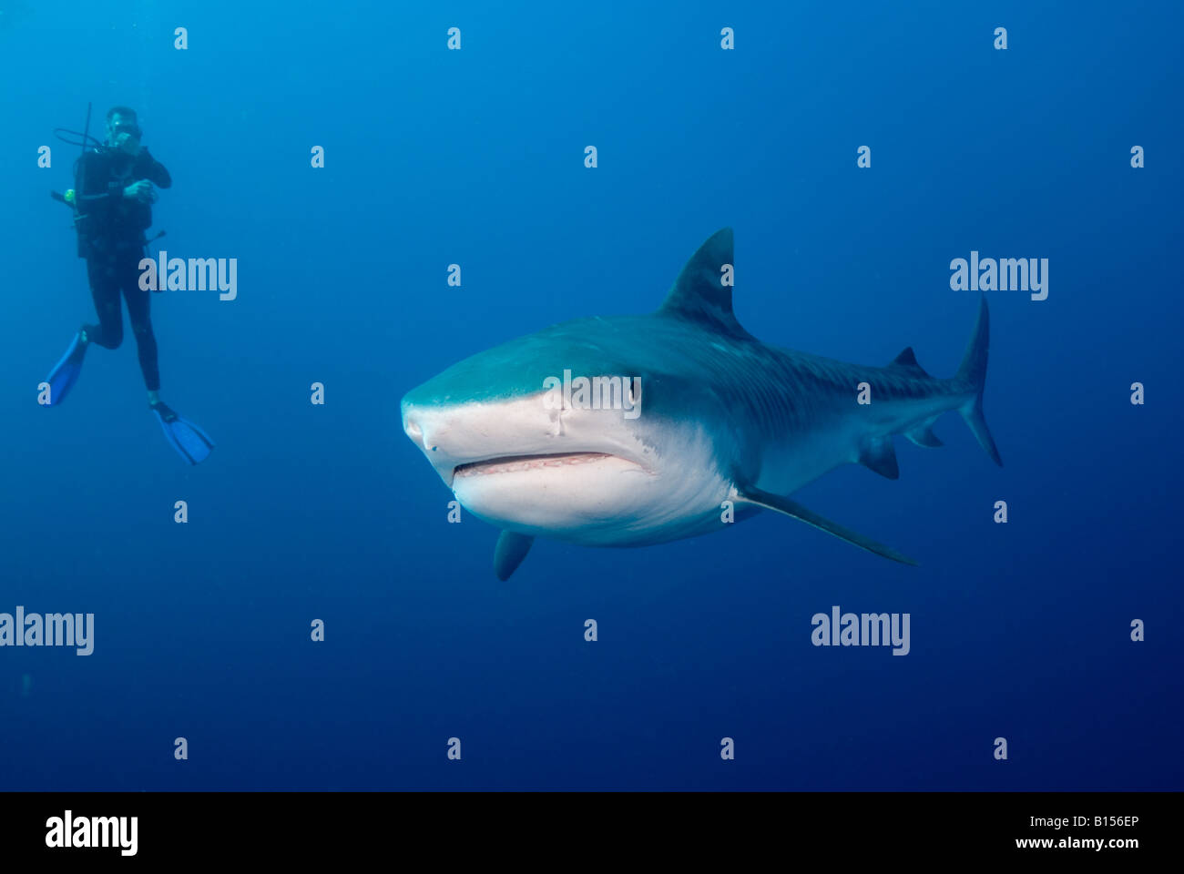 Komm zu Papa! Stockfoto