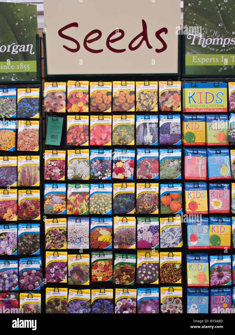 Rack von Samen auf Verkauf im englischen Garten-Center Stockfoto