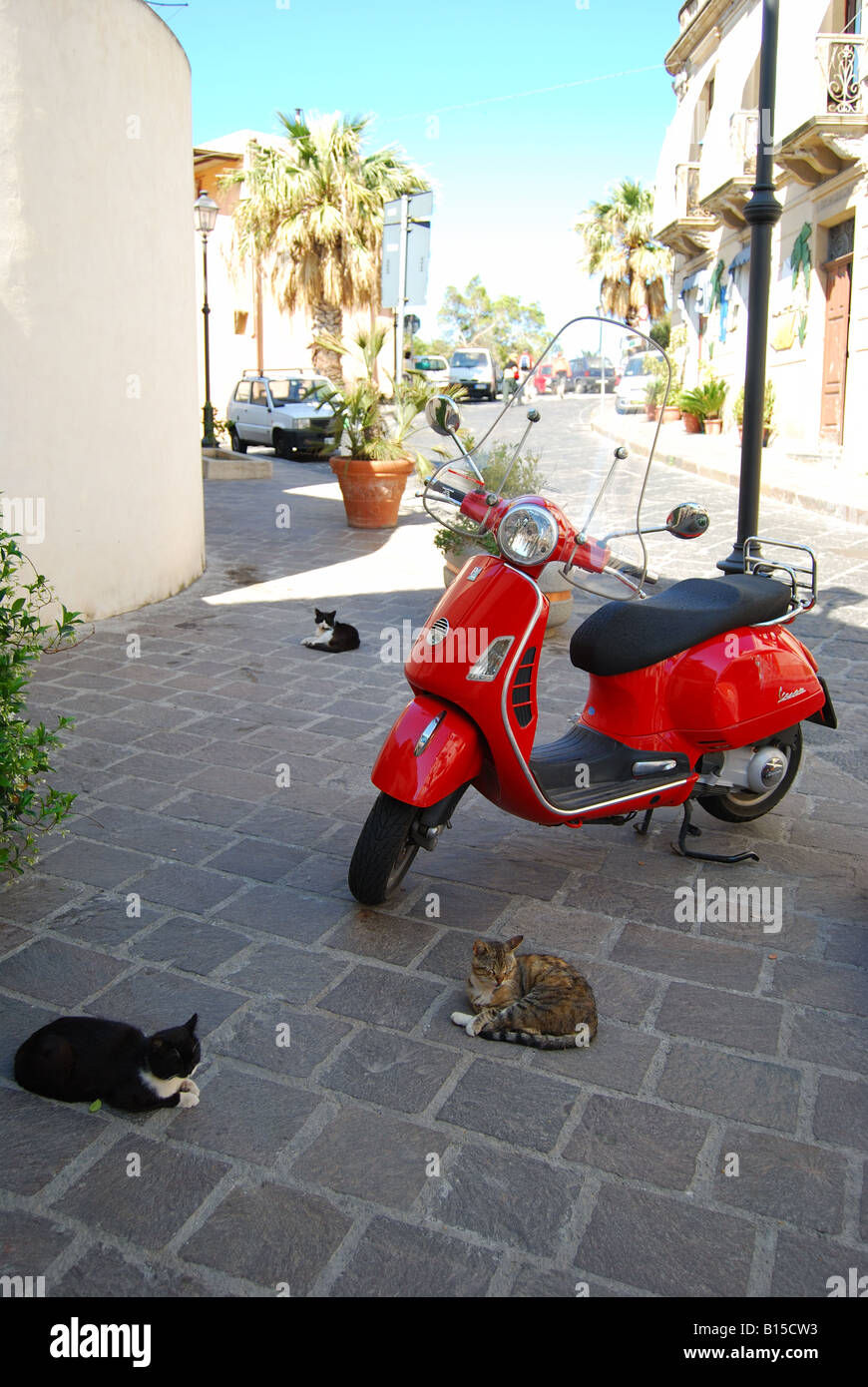 Katzen auf Fußweg, Lipari, Isola Lipari, Provinz Messina, Sizilien, Italien Stockfoto