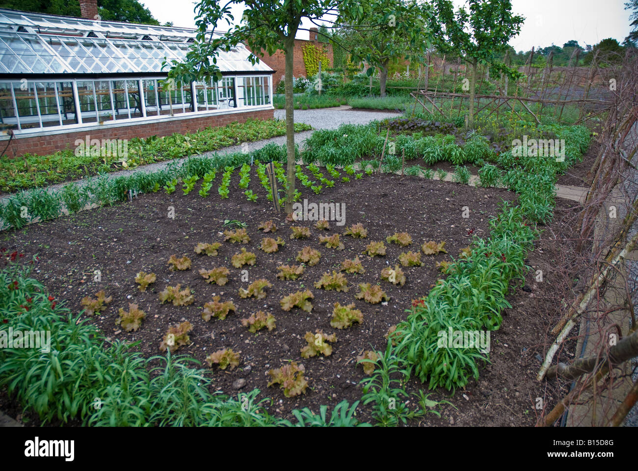 Gemüse Garten in Hampton Court, Herefordshire Stockfoto