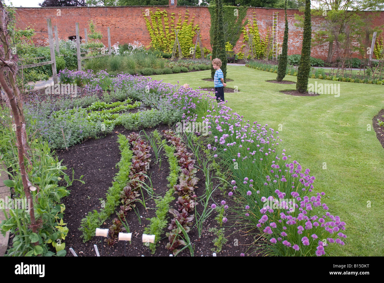 Das schöne Gemüse Garten in Hampton Court, Herefordshire Stockfoto