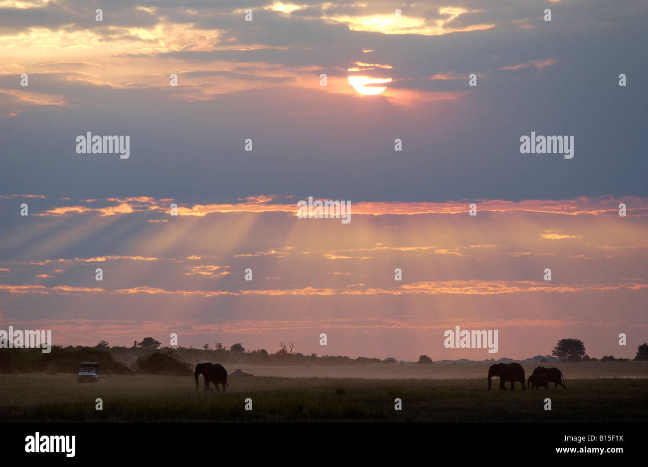 Sonnenuntergang mit Sonnenstrahlen am Chobe Fluss Landschaft mit Elefanten und Safari Auto CHOBE NATIONALPARK Botswana Afrika Stockfoto