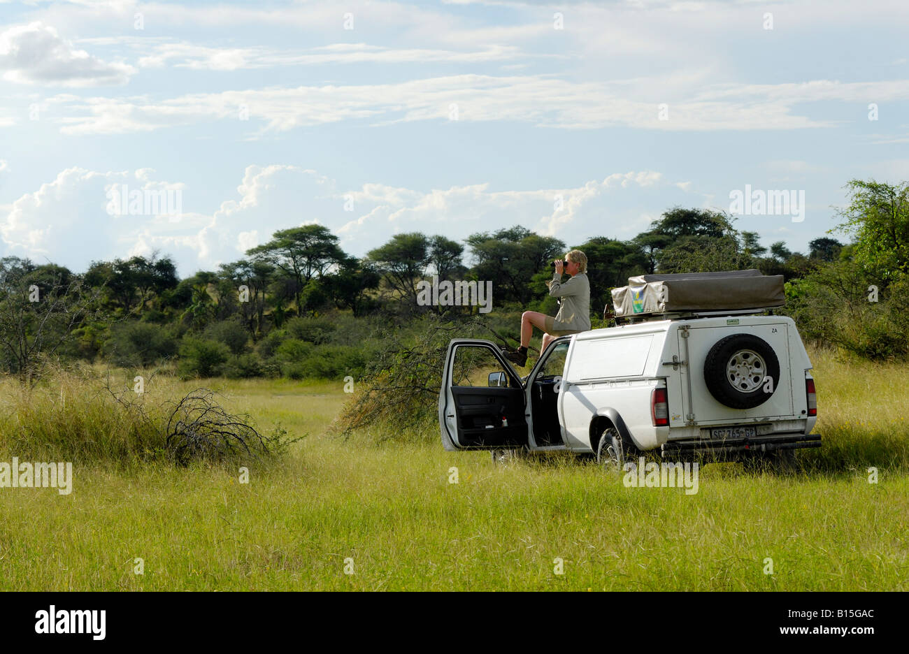 Landschaft am Boteti River Tourist mit dem Fernglas auf einem 4 x 4 Auto suchen die Umwelt Makgadikgadi National Park-Botswana Stockfoto