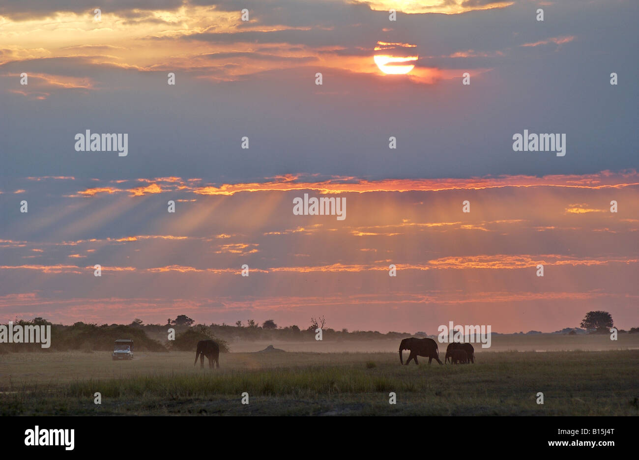 Sonnenuntergang mit Sonnenstrahlen am Chobe Fluss Landschaft mit Elefanten und Safari Auto CHOBE NATIONALPARK Botswana Afrika Stockfoto