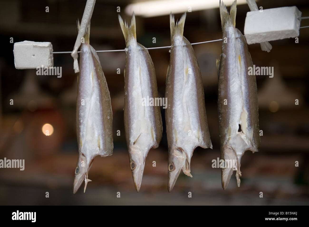Kanazawa, Japan. Anzeige der Fische vor einem Fischhändler shop Stockfoto
